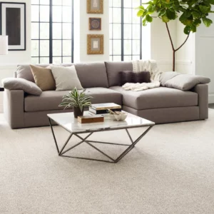 Carpet flooring | Discount Carpet Warehouse