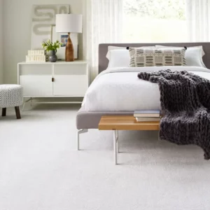 Carpet flooring | Discount Carpet Warehouse