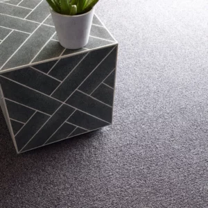 Carpet flooring | Discount Carpet Warehouse